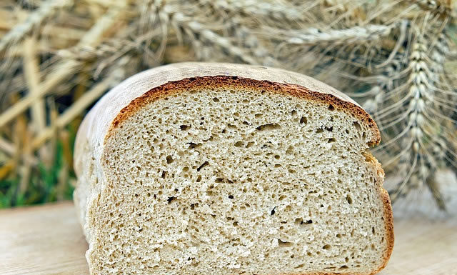 배고픈 다리를 넘어