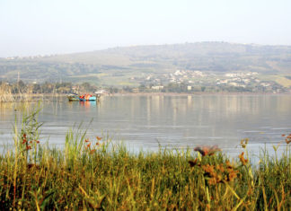 갈릴리 호수 바이올린 연주하다!