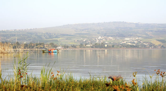 갈릴리 호수 바이올린 연주하다!