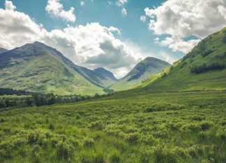 6월 첫째 주 찬송/6월 둘째 주 찬송