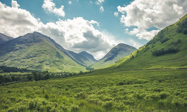 6월 첫째 주 찬송/6월 둘째 주 찬송