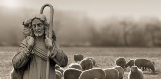 목자장 예수 그리스도