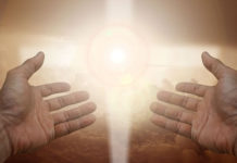 새 하늘 새 땅에서 부활해 하나님의 영광을 드러내