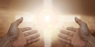 새 하늘 새 땅에서 부활해 하나님의 영광을 드러내