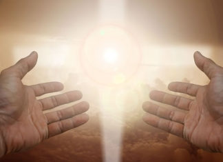 새 하늘 새 땅에서 부활해 하나님의 영광을 드러내