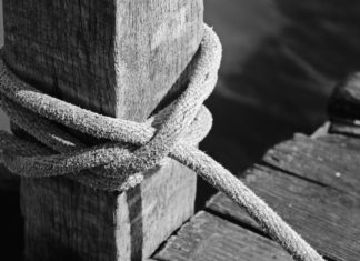 굿모닝, 갈릴리! 굿모닝, 주님!