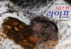 339호 라이프