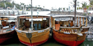 물고기 문에서 울부짖는 소리, 통곡하는 소리!