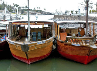 물고기 문에서 울부짖는 소리, 통곡하는 소리!