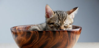 아, 이 주길 놈!