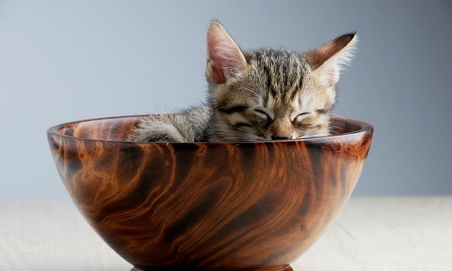 아, 이 주길 놈!