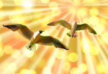 신혼여행지에서 십자가에 달린 예수를 보다