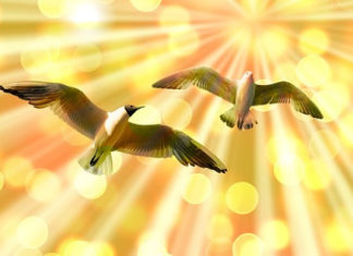 신혼여행지에서 십자가에 달린 예수를 보다