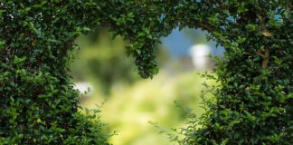 너를 떠나지 아니하리라