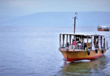 세금 입에 물고 낚시에 잡힌 물고기