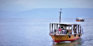 세금 입에 물고 낚시에 잡힌 물고기