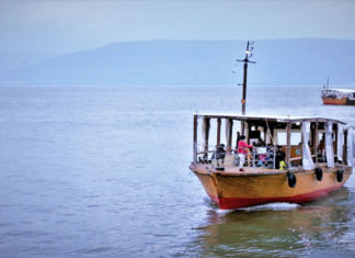 세금 입에 물고 낚시에 잡힌 물고기