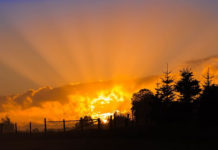 8월 셋째 주 찬송/8월 넷째 주 찬송