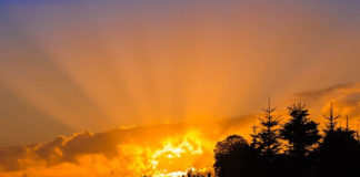 8월 셋째 주 찬송/8월 넷째 주 찬송