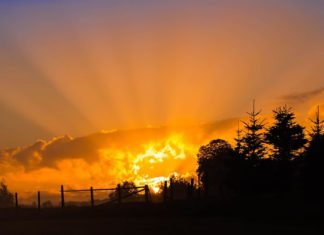 8월 셋째 주 찬송/8월 넷째 주 찬송