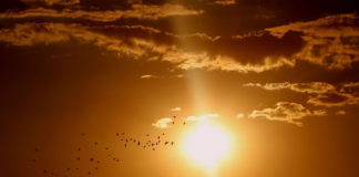 함씬, 이스라엘의 폭염