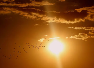 함씬, 이스라엘의 폭염