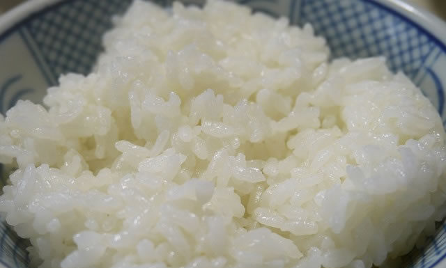 밥을 위한 변명