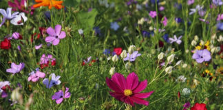 삶에 색을 입히다