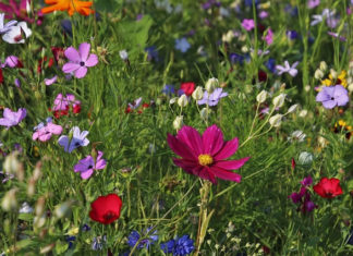 삶에 색을 입히다