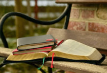 하나님의 말씀이 한 역할은 무엇인가?