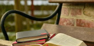 하나님의 말씀이 한 역할은 무엇인가?