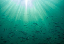 테러리스트의 습격