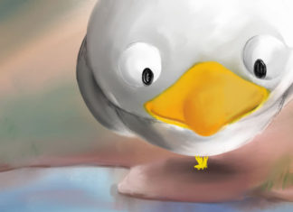 하늘과 호수를 잇는 구원의 징검다리