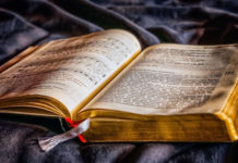 10월 셋째 주 찬송/10월 넷째 주 찬송