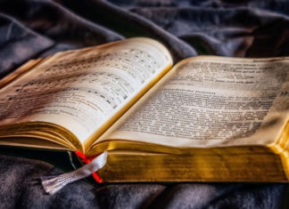 10월 셋째 주 찬송/10월 넷째 주 찬송