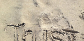 건강한 관계와 건강한 감정