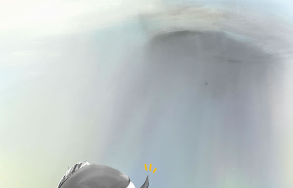 그 날 밤, 아무 것도 잡지 못하였더라