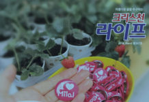 밀알하루카페 2018