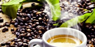 해발 1000미터가 넘는 커피농장 방문기