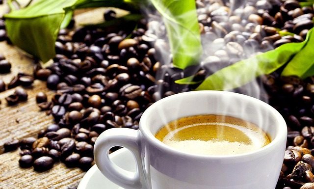 해발 1000미터가 넘는 커피농장 방문기