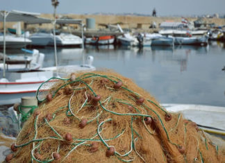 그물을 배 오른편에 던져라