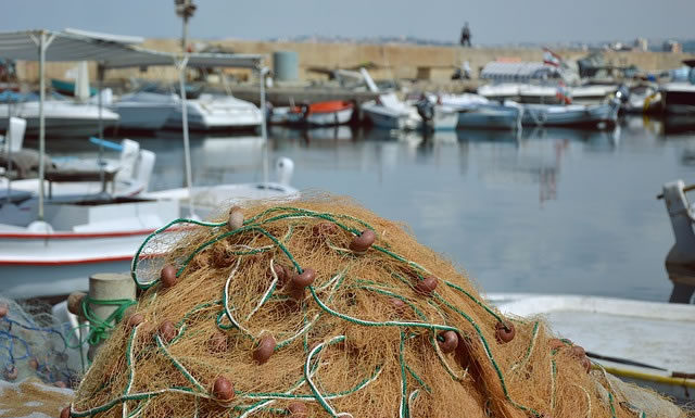 그물을 배 오른편에 던져라