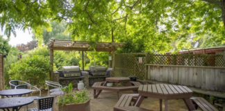 선교가 무섭지 않았던 이유