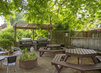 선교가 무섭지 않았던 이유