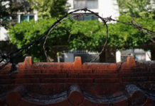 ‘두리하나’에서 온 다섯 친구들