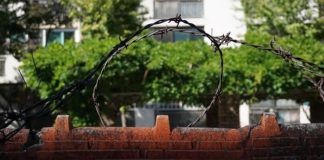 ‘두리하나’에서 온 다섯 친구들