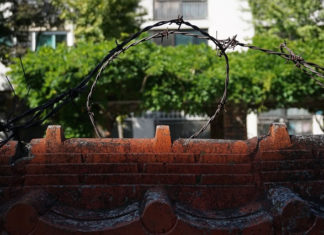 ‘두리하나’에서 온 다섯 친구들