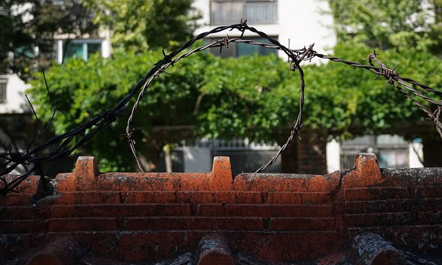 ‘두리하나’에서 온 다섯 친구들