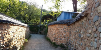 꽃피고 뻐꾸기 우는 고향마을