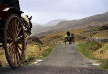 날개 달린 시간 마차 달려온다!